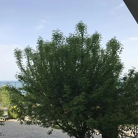 болгария, г.свети влас, к.