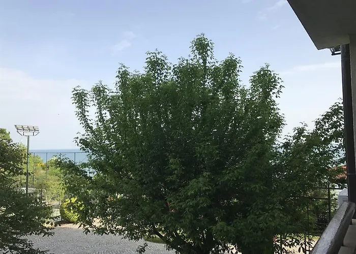 болгария, г.свети влас, к.